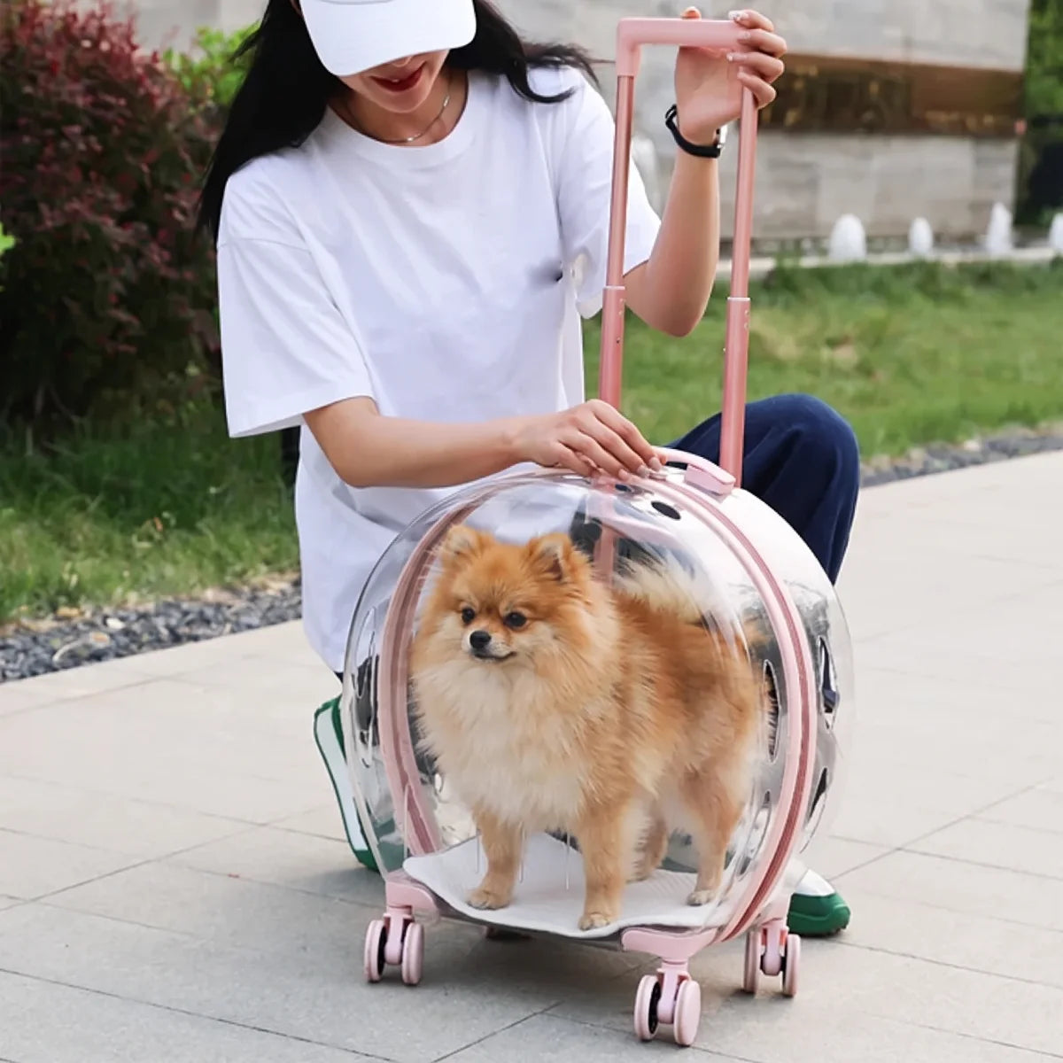 Woman with a Pomeranian in the Blush Pink rolling carrier