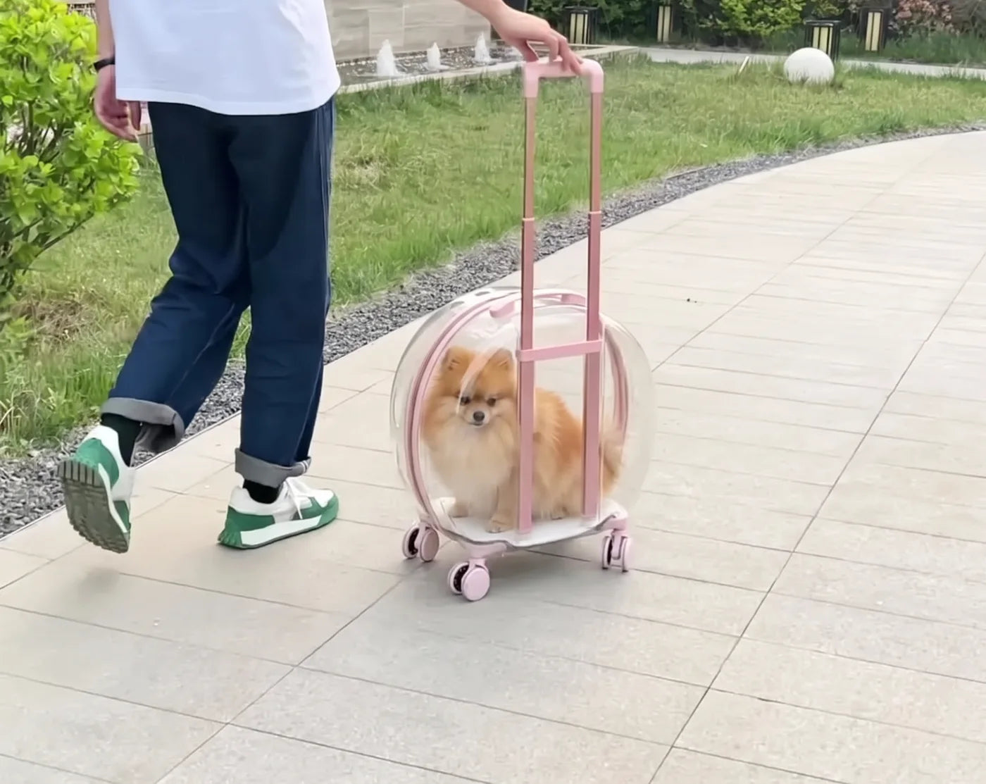 Rolling the pink carrier along a park path